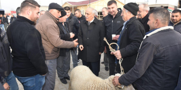 DAVUT AYDIN (5)