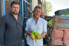 SARIBAL (6)