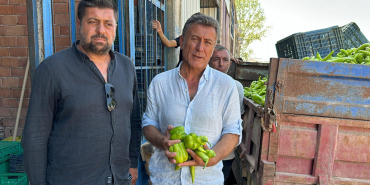 SARIBAL (6)