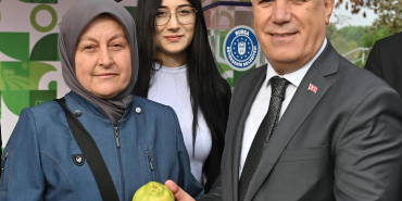 34776_MTY3MGNkM2_6