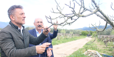 SARIBAL