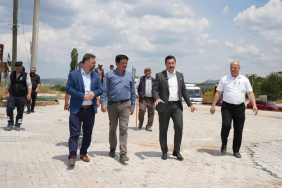 PARKE TAŞ (7)