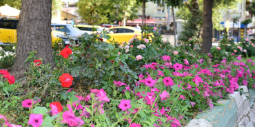 ÇİÇEK (6)