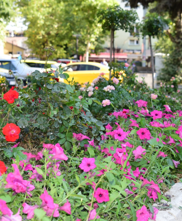 ÇİÇEK (6)