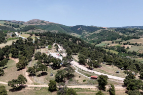 KOZDERE ÇAMLIĞI (3)