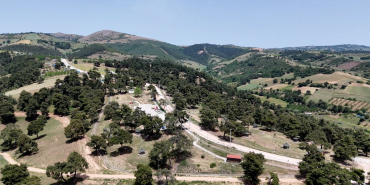 KOZDERE ÇAMLIĞI (3)