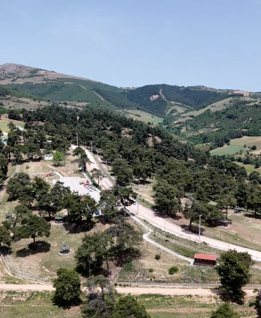 KOZDERE ÇAMLIĞI (3)