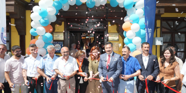 SARI KÖŞK (2)