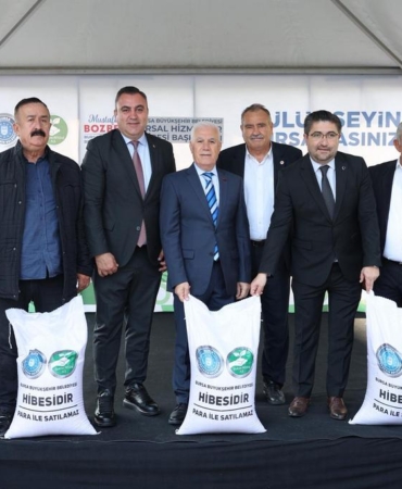 BÜYÜKŞEHİR BUĞDAY (8)