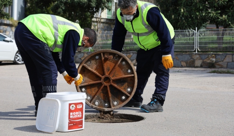 SİNEK VE HAŞEREYLE ETKİN MÜCADELE