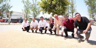 BUĞDAY (1)