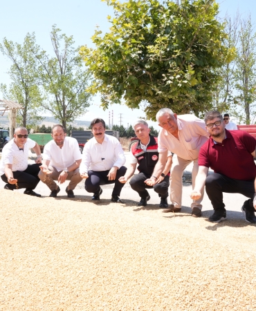 BUĞDAY (1)